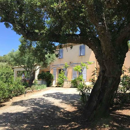 Bed and Breakfast Le Mas Amore Gassin Exterior foto