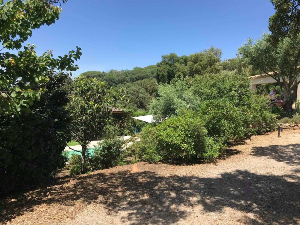 Bed and Breakfast Le Mas Amore Gassin Exterior foto