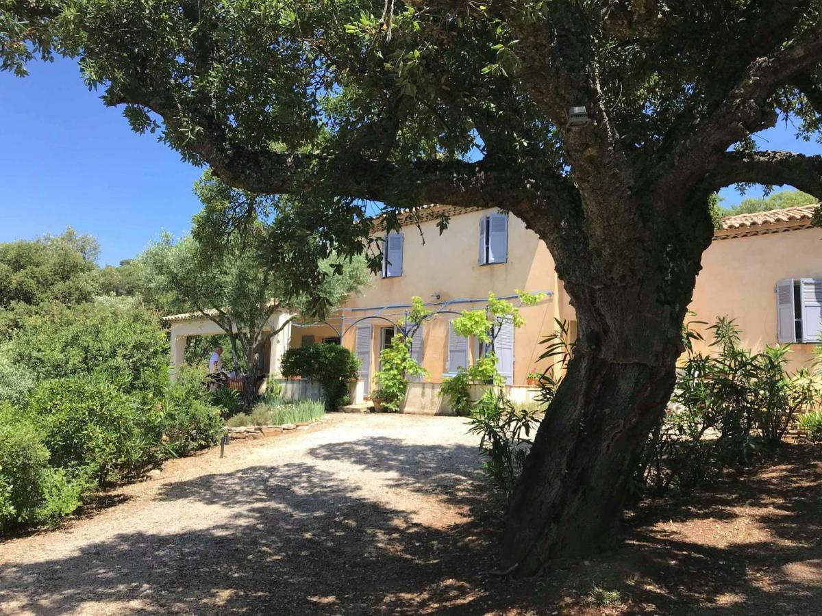 Bed and Breakfast Le Mas Amore Gassin Exterior foto